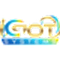 iGot Systems LLC logo